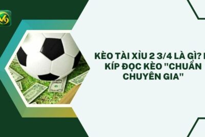 Kèo Tài Xỉu 2 3/4 Là Gì? Bí Kíp Đọc Kèo “Chuẩn Chuyên Gia”