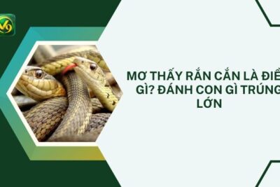 Mơ Thấy Rắn Cắn Là Điềm Gì? Đánh Con Gì Trúng Lớn